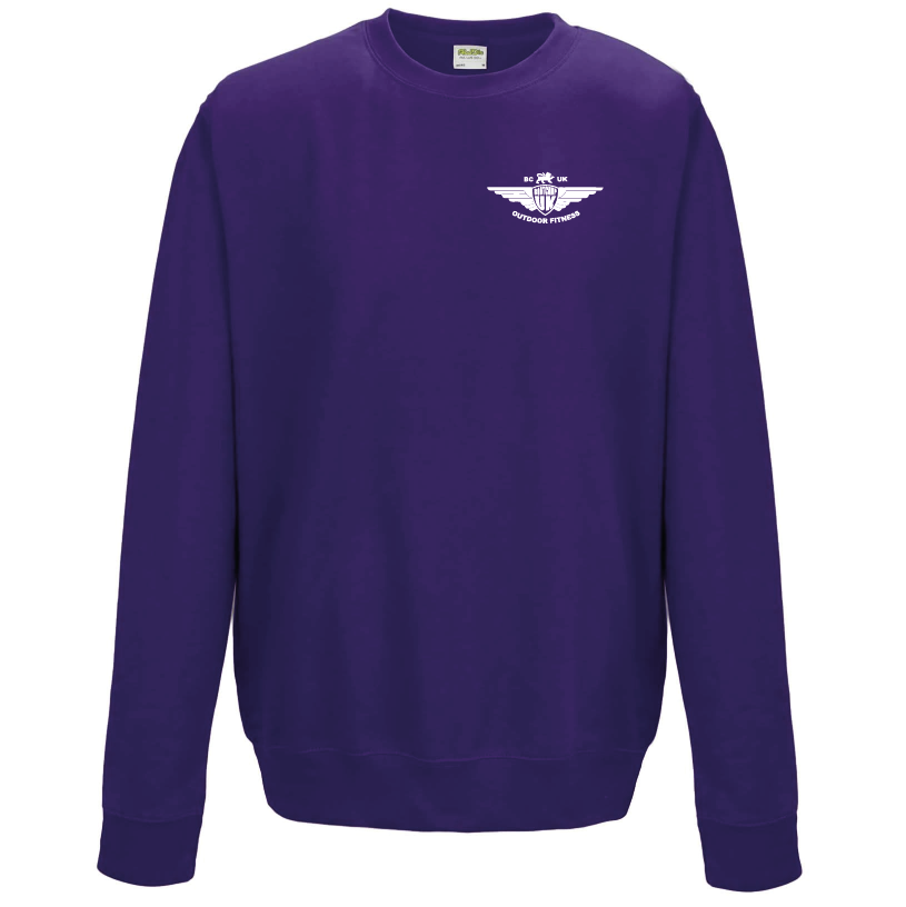 Small Purple Sweatshirt