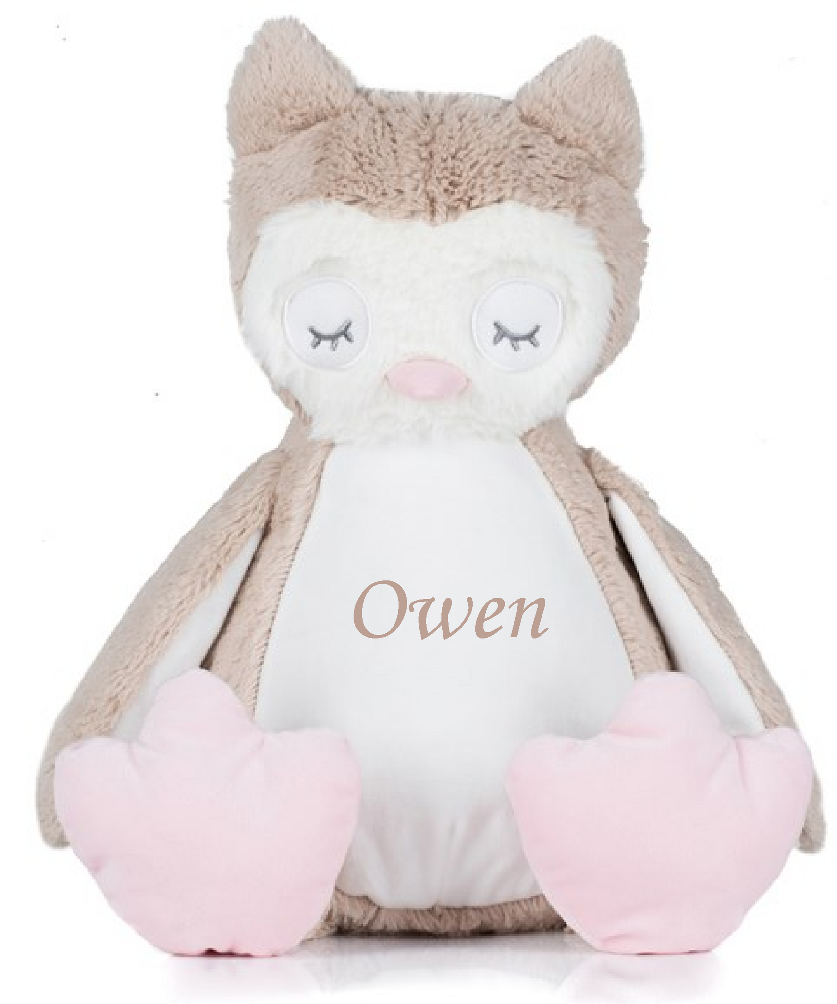 Owl Personalised Teddy (40cm)